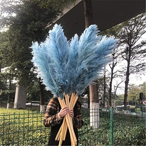 zellajake Rare Flower Seeds Pampas Grass Plant Seeds 2000+ Flower Bonsai Seeds for Home Garden Decoration