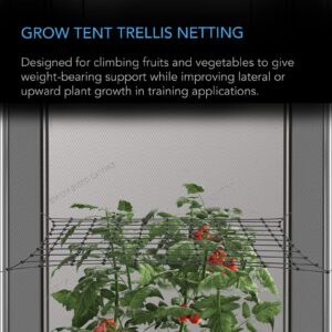 AC Infinity Grow Tent Trellis Netting 4x4', Heavy-Duty Elastic Plant Net with Steel Hooks, Flexible Hydroponics Support for Grow Tents, Gardening, and Horticulture