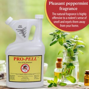 One Gallon Jug Pro-Pell Rodent Repellent Repells Mice & Rats. Makes 10 gallons