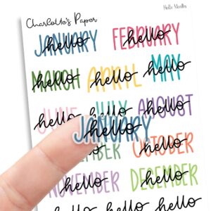 transparent hello months planner stickers, undated planner, hand lettered months of the year sticker, decorative planning stickers, 18 stickers, multicolor rainbow