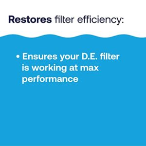 HTH 67121 Swimming Pool Care D.E. Filter Aid, Improve Filtration Efficiency and Water Clarity, 10lb