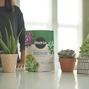 Miracle-Gro Succulent Potting Mix - Fertilized Soil with Premium Nutrition for Indoor Succulents, 4 qt. (2-Pack)