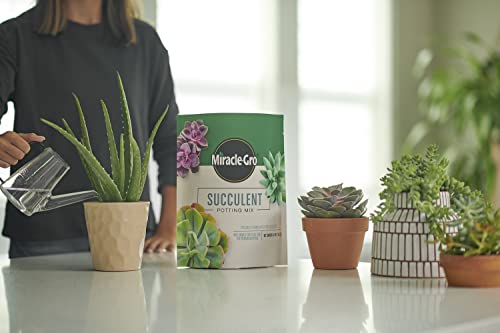 Miracle-Gro Succulent Potting Mix - Fertilized Soil with Premium Nutrition for Indoor Succulents, 4 qt. (2-Pack)