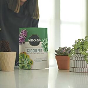 Miracle-Gro Succulent Potting Mix - Fertilized Soil with Premium Nutrition for Indoor Succulents, 4 qt. (2-Pack)
