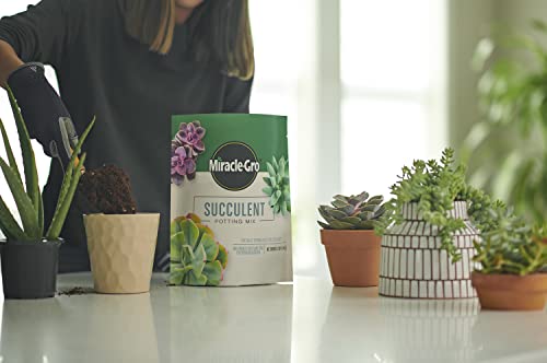 Miracle-Gro Succulent Potting Mix - Fertilized Soil with Premium Nutrition for Indoor Succulents, 4 qt. (2-Pack)