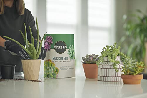 Miracle-Gro Succulent Potting Mix - Fertilized Soil with Premium Nutrition for Indoor Succulents, 4 qt. (2-Pack)