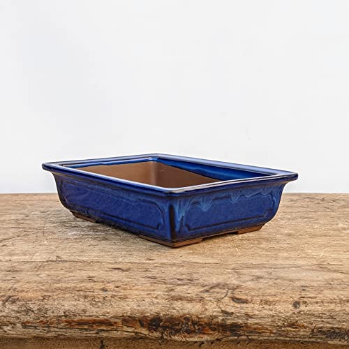 Bonsai Pots for Decorative Planting, Nine-Inch Blue Glazed Bonsai Planter, Drainage Mesh Screen Included, Used as Starter Ceramic Pots for Bonsai, Succulents or a Wide Variety of Houseplants