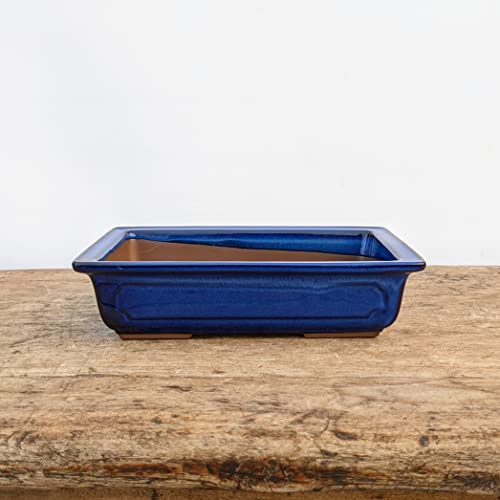 Bonsai Pots for Decorative Planting, Nine-Inch Blue Glazed Bonsai Planter, Drainage Mesh Screen Included, Used as Starter Ceramic Pots for Bonsai, Succulents or a Wide Variety of Houseplants
