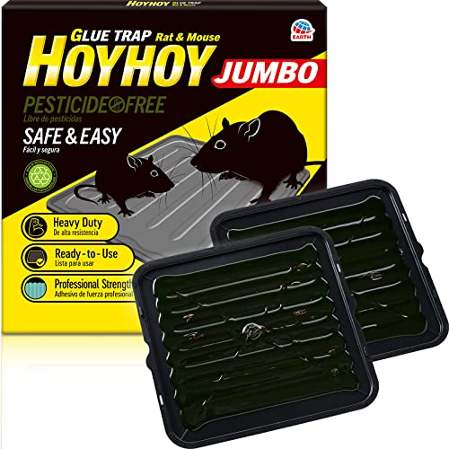 HOY HOY Jumbo Size Rat & Mouse Indoor/Outdoor Glue Trap 2 Large Traps [1 Pack] - Heavy-Duty Professional Strength Ready-to-Use Pest Control, Kids & Pets Friendly Household Pests & Insects