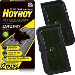 hoy hoy regular size rat & mouse indoor/outdoor glue trap 2 traps [1 pack] - heavy-duty professional strength ready-to-use pest control, kids & pets friendly household pests & insects