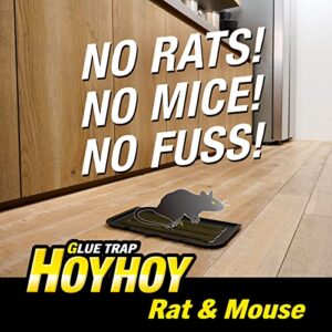 HOY HOY Regular Size Rat & Mouse Indoor/Outdoor Glue Trap 2 Traps [1 Pack] - Heavy-Duty Professional Strength Ready-to-Use Pest Control, Kids & Pets Friendly Household Pests & Insects