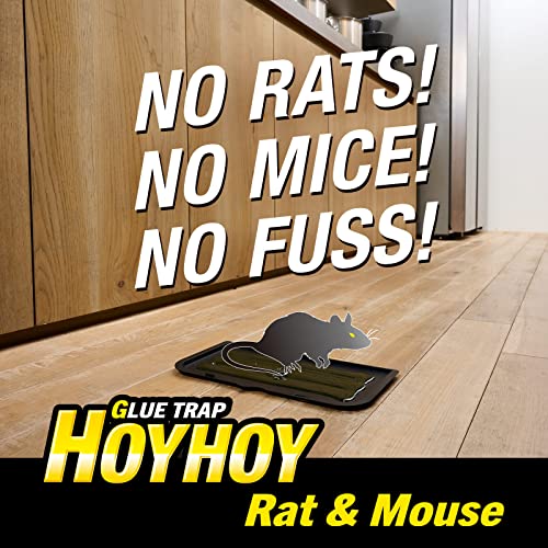 HOY HOY Regular Size Rat & Mouse Indoor/Outdoor Glue Trap 2 Traps [1 Pack] - Heavy-Duty Professional Strength Ready-to-Use Pest Control, Kids & Pets Friendly Household Pests & Insects