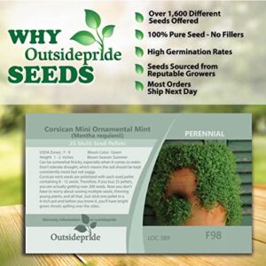 Outsidepride 50 Pellets Perennial Mentha Corsican Mini Mint Ground Cover Seeds for Planting