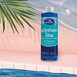2 Pack BioGuard Polysheen Blue Swimming Pool Water Clarifier (1 Quart Bottles)
