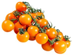 for 2024!best taste cherry tomato seeds for planting-sun gold.non gmo garden seeds for planting vegetables seeds at home vegetable garden & hydroponics seed pods:10ct sungold cherry tomato plant seeds