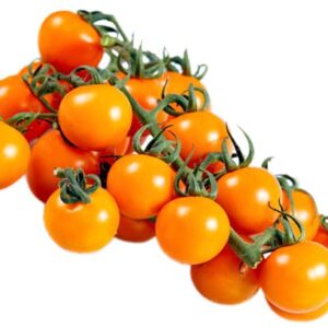 For 2024!Best Taste Cherry Tomato Seeds for Planting-Sun Gold.Non GMO Garden Seeds for Planting Vegetables Seeds at Home Vegetable Garden & Hydroponics Seed Pods:10ct Sungold Cherry Tomato Plant Seeds