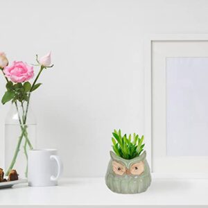 Happyyami Outdoor Decor Pots Ceramic Animal Owl Planter Novelty Flower Pots Small Desk Animal Statue Porcelain Plant Pot Bonsai Container for Home Office Tabletop Decorations Home Decor