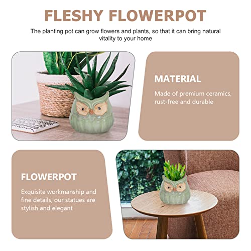 Happyyami Outdoor Decor Pots Ceramic Animal Owl Planter Novelty Flower Pots Small Desk Animal Statue Porcelain Plant Pot Bonsai Container for Home Office Tabletop Decorations Home Decor