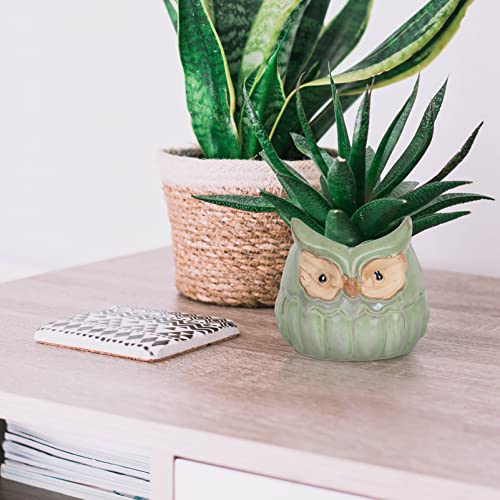 Happyyami Outdoor Decor Pots Ceramic Animal Owl Planter Novelty Flower Pots Small Desk Animal Statue Porcelain Plant Pot Bonsai Container for Home Office Tabletop Decorations Home Decor