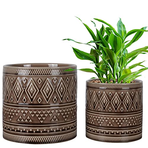 EPFamily 8 Inch Succulent Planter + 5.7 Inch + 4.7 Inch Flower Pot for Indoor Plants