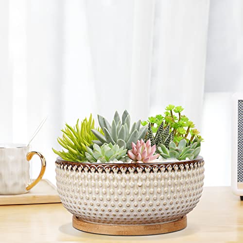 EPFamily 8 Inch Succulent Planter + 5.7 Inch + 4.7 Inch Flower Pot for Indoor Plants