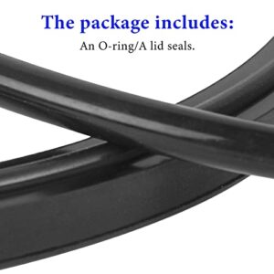 Etotel R0449100 Lid Seal with O-Ring Replacement Kit - Compatible with Zodiac Jandy Pool and Spa Pumps for Zodiac Jandy PlusHP WaterFeature MaxHP Series Pool Pump - 1 Pack(2 Pieces)