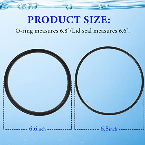 Etotel R0449100 Lid Seal with O-Ring Replacement Kit - Compatible with Zodiac Jandy Pool and Spa Pumps for Zodiac Jandy PlusHP WaterFeature MaxHP Series Pool Pump - 1 Pack(2 Pieces)