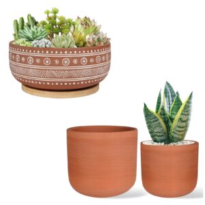 thirtypot terracotta succulent planter pot with drainage hole, large round shallow bonsai pot for indoor plants