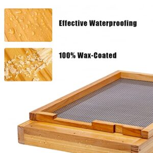 BeeCastle Beehive Screened Bottom Board Dipped in 100% Beeswax,Screened Bottom Board with Solid Wood (10-Frame)