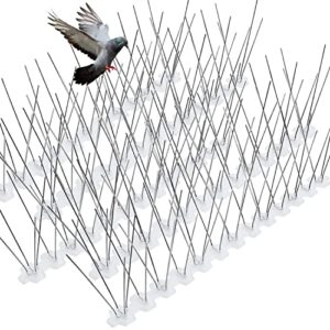 bird spikes for pigeons small birds stainless steel 100 feet coverage outdoor use bird deterrent strips devices for fence crows woodpeckers with 304 stainless steel pins and plastic base flexible use