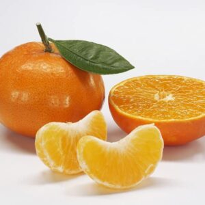 LOUISECON Seedless Citrus Orange Tree Seeds Delicious Navel Oranges 1-2 ft Indoor/Outdoor Fruit Tree Tasty and 30 Seedless