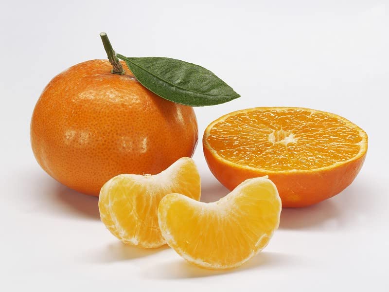 LOUISECON Seedless Citrus Orange Tree Seeds Delicious Navel Oranges 1-2 ft Indoor/Outdoor Fruit Tree Tasty and 30 Seedless