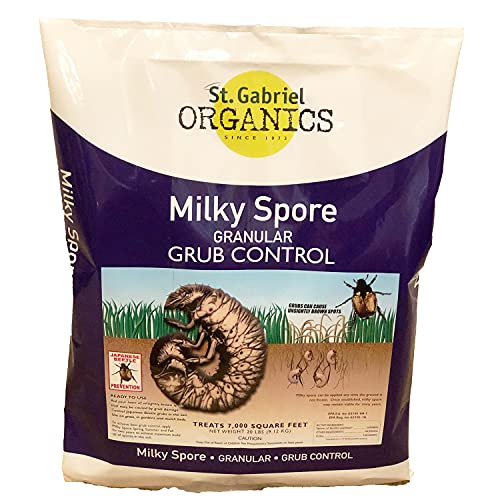 St. Gabriel Organics Milky Spore Granular Natural Bacteria Japanese Beetle Grub Killer Lawn and Garden Care Control, 20 Pound Pack (3 Pack)