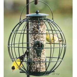 Backyard Essentials Orb Caged Seed Feeder for Wild Birds, Petite Orb Caged Seed Feeder for Outdoors