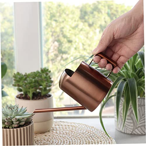 Eioflia Mini Watering Can,Watering Can Small,Stainless Steel Small Watering Pot with Long Spout Long Spout Bonsai Mini Watering Can for Kids Nursery Bonsai Indoor Houseplant (Silver)