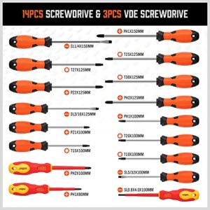 HORUSDY 119-Piece Magnetic Screwdriver Set with Plastic Racking, Includs Precision Screwdriver, Insulated screwdriver and Bit set, Tools for Men Tools Gift