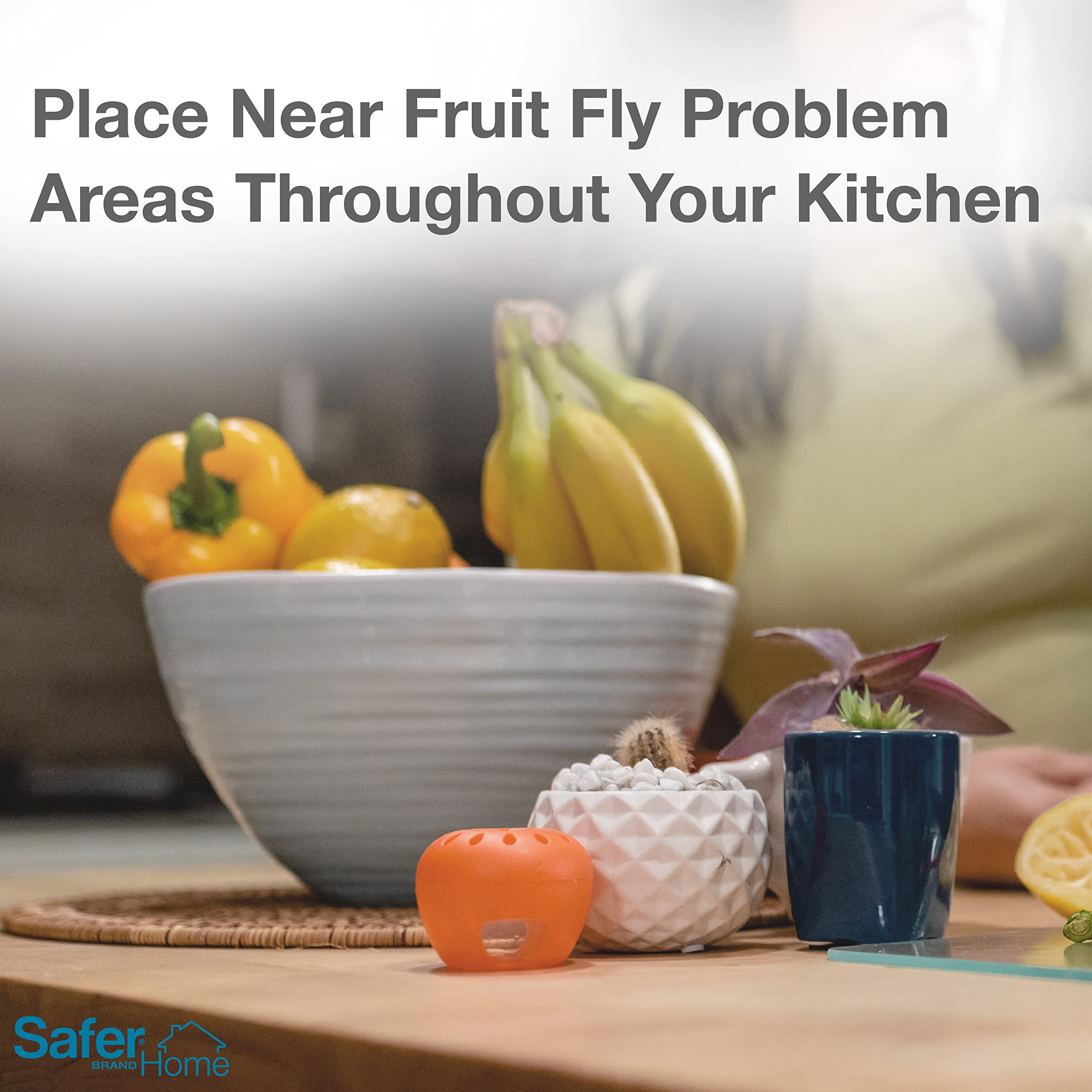 Safer Brand Home SH500 Indoor Fruit Fly Trap – Ready-to-Use, Non-Staining, No synthetic Insecticides