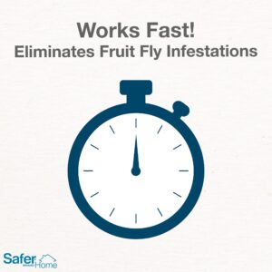 Safer Brand Home SH500 Indoor Fruit Fly Trap – Ready-to-Use, Non-Staining, No synthetic Insecticides