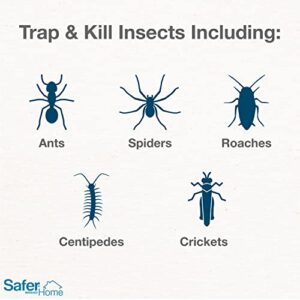 Safer Brand 4 Safer Home SH400 Indoor Spider, Ant, Cockroach, Centipede, and Crawling Insect Traps, Blue