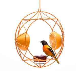 mekkapro sun baltimore oriole feeder for outdoors, jelly and orange metal bird feeder, unique sun design and bright color, open top hook, uv-resistant powder-coated steel (single)