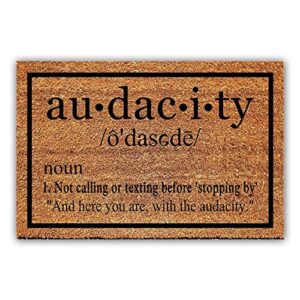 funny coir doormat audacity definition welcome front porch decor doormat for the entrance way personalized rugs with heavy-duty pvc backing non slip outdoor rugs coconut coir doormat 23.6 x 15.7 inch
