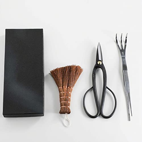 Wazakura Japanese Bonsai Garden 3PCS Tool Starter Kit, Made in Japan, Ashinaga Bonsai Scissors, Stainless Tweezers with Rake, Chinese Broom. Beginner Set with Shears, Tweezers and Soil Brush