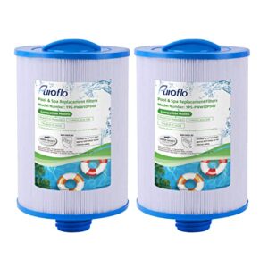 puroflo spa hot tub filter cartridge replacement for pww50p3(1 1/2" coarse thread)|unicel 6ch-940, 817-0050|filbur fc-0359,25252, waterway front access skimmer, screw in sae thread filter 2 pack
