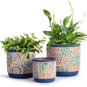deecoo 3 piece ceramic plant pots indoor pots set with drainage holes, 5.7/4.7/3.5/inch, modern decorative pots outdoor plants lilies, cacti, succulents, snakes, and bamboo (blue)