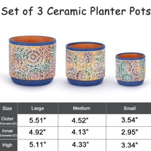 DeeCoo 3 Piece Ceramic Plant pots Indoor Pots Set with Drainage Holes, 5.7/4.7/3.5/inch, Modern Decorative pots Outdoor Plants Lilies, Cacti, Succulents, Snakes, and Bamboo (Blue)