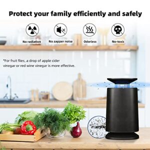 Upenjok Fly Trap Indoor - Killer for Mosquito, Gnat, Fruit Flies, Moth - Non-Zapper Traps for Home with 10 Strong Sticky Glue Boards and 5 Mosquito Luring (Black)