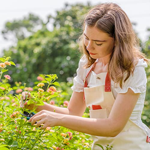 Berry&Bird Garden Clippers, Pruning Scissors with Stainless Steel Teflon Coating Blades and Handle, Plant Clippers Work 3 Times Easier with Spring, Garden Shears for Trimming Rose, Small Stem, Bonsai