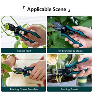 Berry&Bird Garden Clippers, Pruning Scissors with Stainless Steel Teflon Coating Blades and Handle, Plant Clippers Work 3 Times Easier with Spring, Garden Shears for Trimming Rose, Small Stem, Bonsai