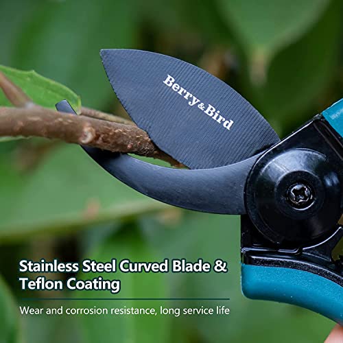 Berry&Bird Garden Clippers, Pruning Scissors with Stainless Steel Teflon Coating Blades and Handle, Plant Clippers Work 3 Times Easier with Spring, Garden Shears for Trimming Rose, Small Stem, Bonsai