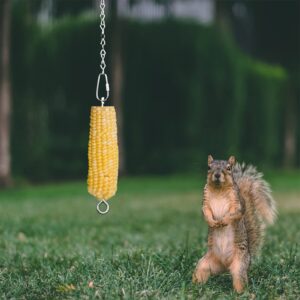 Hanging Squirrel Feeder Outside Corn Cobs Holder for Squirrels Chipmunk Funny Toy